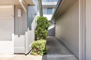 Photo #1: 223081213 Listing