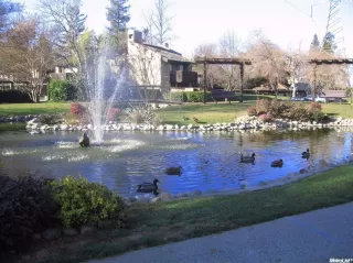 Photo #2: 223081324 Listing