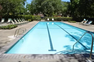 Photo #5: 223081324 Listing