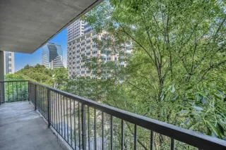 Photo #2: 223082577 Listing