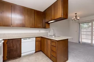 Photo #1: 223082652 Listing 