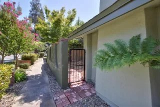 Photo #4: 223083445 Listing