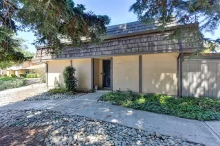 Photo #1: 223083581 Listing 