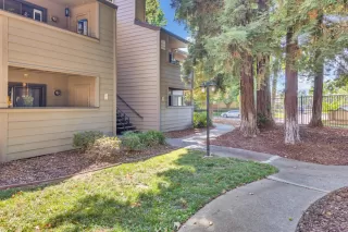 Photo #1: 223083746 Listing 