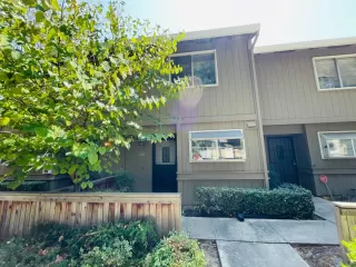 Photo #1: 223084219 Listing