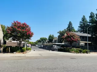 Photo #5: 223084219 Listing