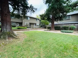 Photo #6: 223084219 Listing