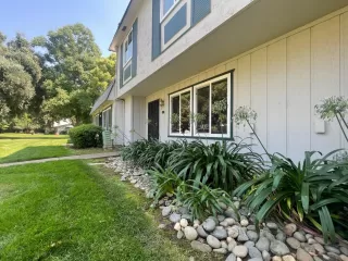 Photo #1: 223084654 Listing 