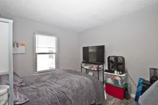 Photo #5: 223085404 Listing 