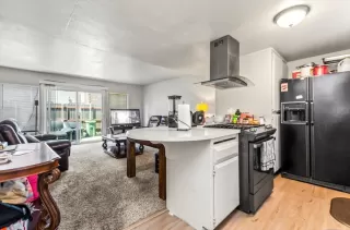 Photo #2: 223087175 Listing 