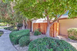 Photo #4: 223087365 Listing