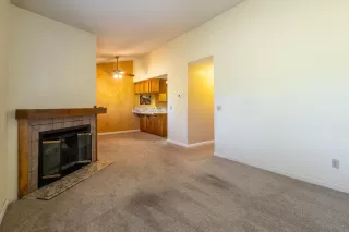 Photo #3: 223089024 Listing
