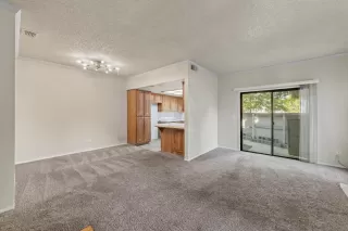 Photo #5: 223089109 Listing 