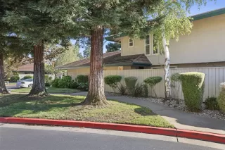 Photo #3: 223089142 Listing