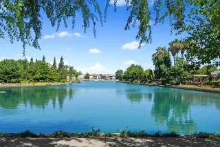 Photo #3: 223089368 Listing