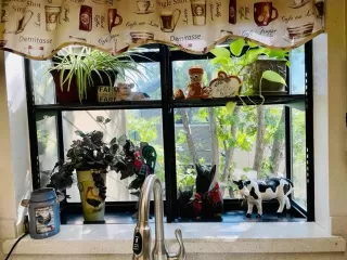 Photo #6: 223090987 Listing 