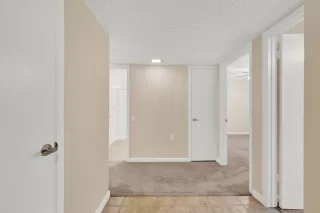 Photo #3: 223091602 Listing 