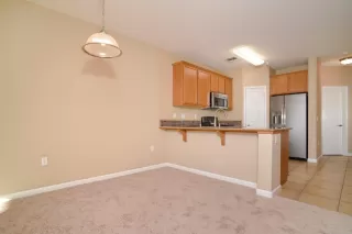 Photo #3: 223091793 Listing