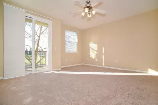 Photo #5: 223091793 Listing