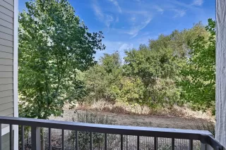 Photo #6: 223091928 Listing 