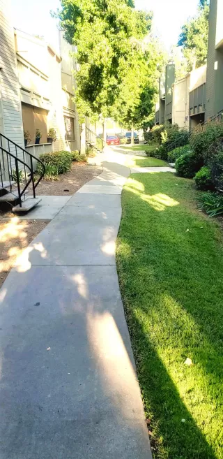 Photo #2: 223092079 Listing 