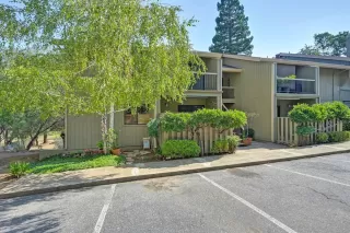 Photo #1: 223092790 Listing