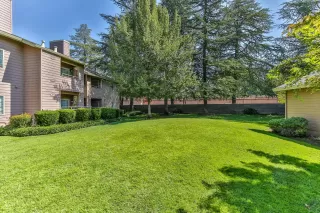 Photo #2: 223093846 Listing