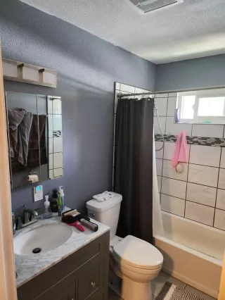 Photo #3: 223094451 Listing 