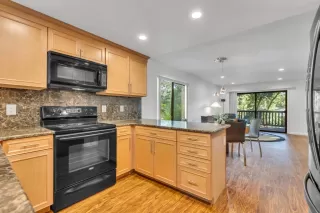 Photo #6: 223095296 Listing 