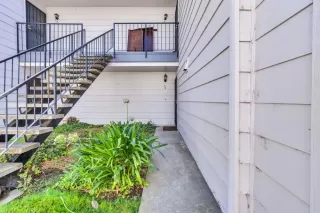 Photo #1: 223095314 Listing