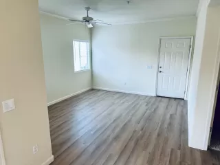 Photo #5: 223095651 Listing 