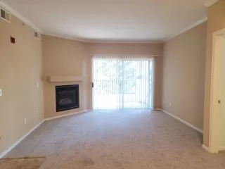 Photo #3: 223096721 Listing