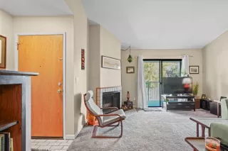 Photo #5: 223096819 Listing 