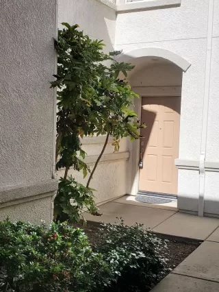 Photo #5: 223096906 Listing