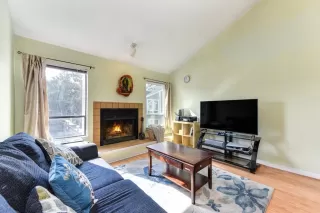 Photo #2: 223098247 Listing