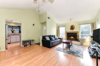 Photo #3: 223098247 Listing