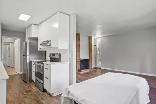 Photo #4: 223099731 Listing