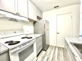 Photo #2: 223100808 Listing 