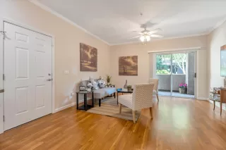 Photo #1: 223102283 Listing 