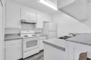 Photo #1: 223104099 Listing
