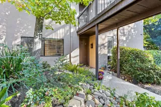 Photo #1: 223105108 Listing