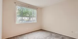 Photo #3: 223106207 Listing