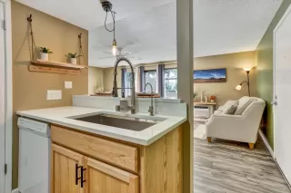 Photo #5: 223106750 Listing