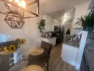 Photo #5: 223106787 Listing 