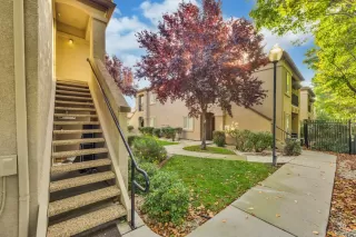 Photo #2: 223106849 Listing 