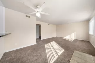 Photo #3: 223107518 Listing 