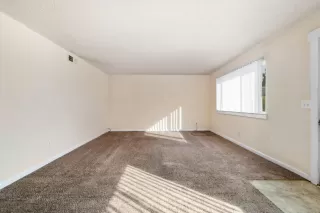 Photo #4: 223107518 Listing 