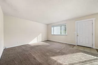 Photo #5: 223107518 Listing 