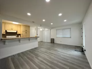 Photo #4: 223107548 Listing