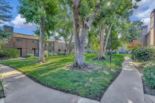 Photo #1: 223108171 Listing